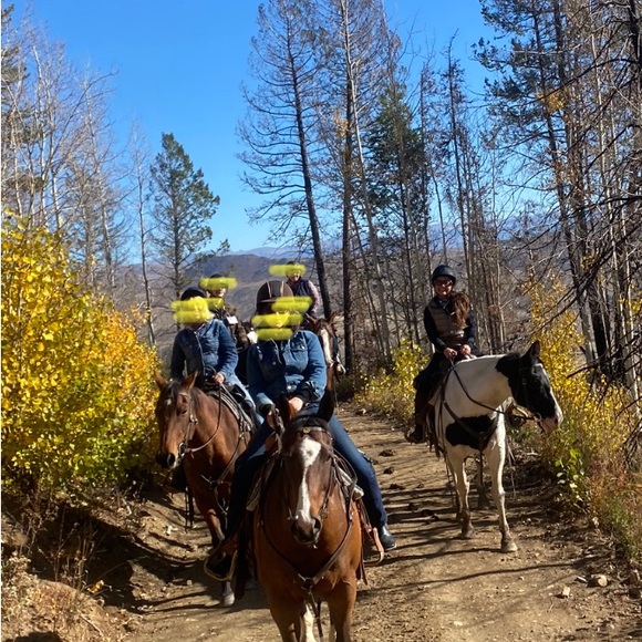 Meet your Posher, Dina - Picture 7 of 11